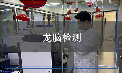 龍腦檢測(cè)