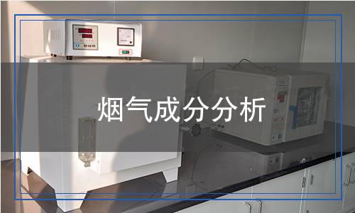 煙氣成分分析
