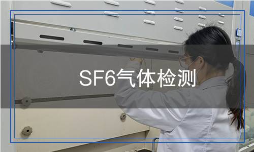 SF6氣體檢測(cè)
