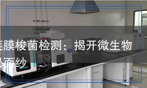 產(chǎn)氣莢膜梭菌檢測(cè):揭開(kāi)微生物的神秘面紗 產(chǎn)氣莢膜梭菌檢測(cè):揭開(kāi)微生物的神秘面紗