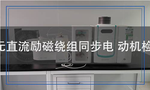 無直流勵(lì)磁繞組同步電動機(jī)檢測,無直流勵(lì)磁繞組同步電動機(jī)檢測報(bào)告