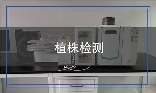 植株檢測