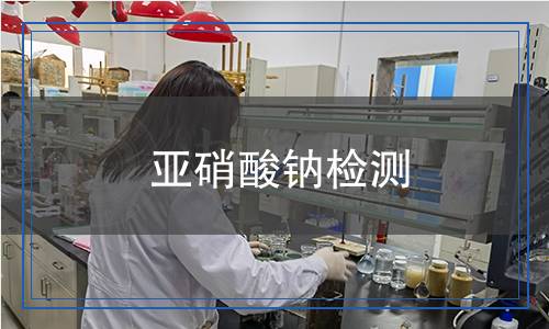 亞硝酸鈉檢測(cè)