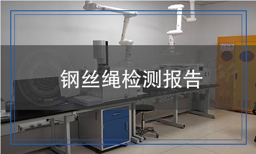 鋼絲繩檢測(cè)報(bào)告 