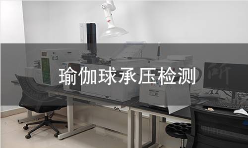 瑜伽球承壓檢測