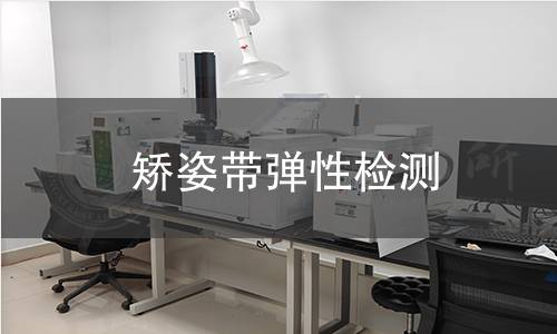 矯姿帶彈性檢測